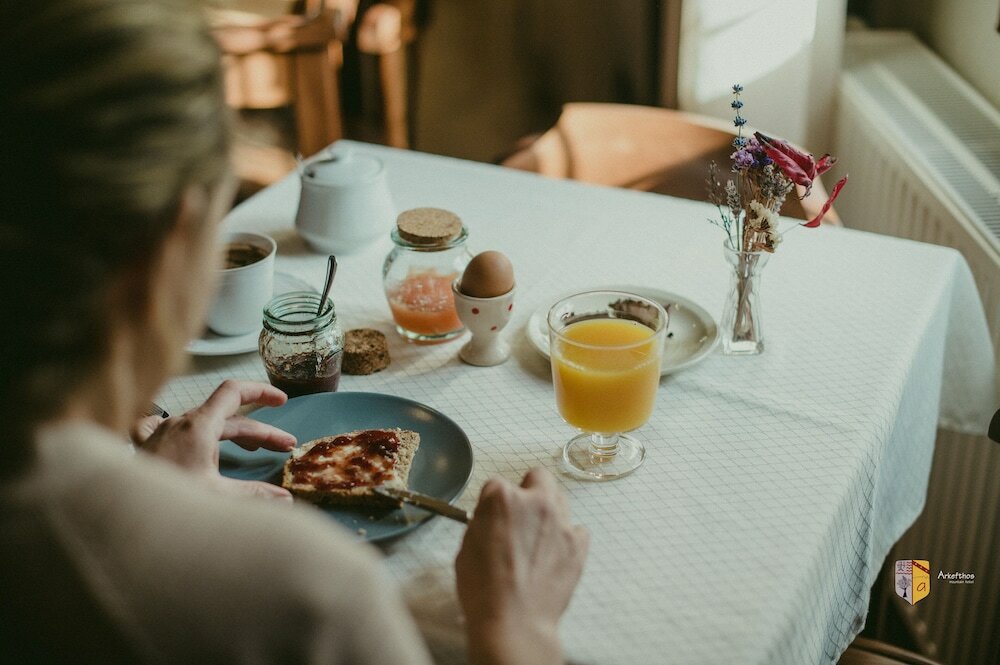 Фото Arkefthos Mountain Hotel