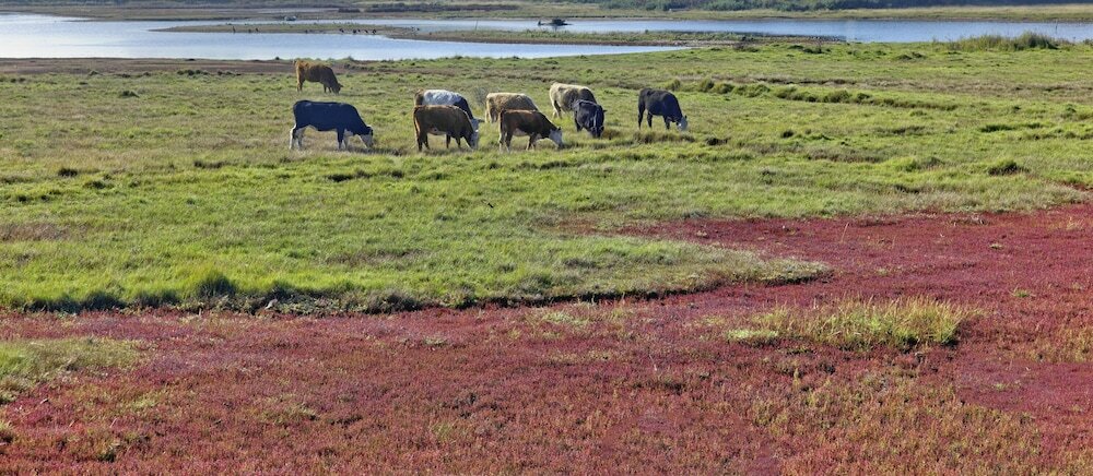 Фото Sailmaker's Cottage
