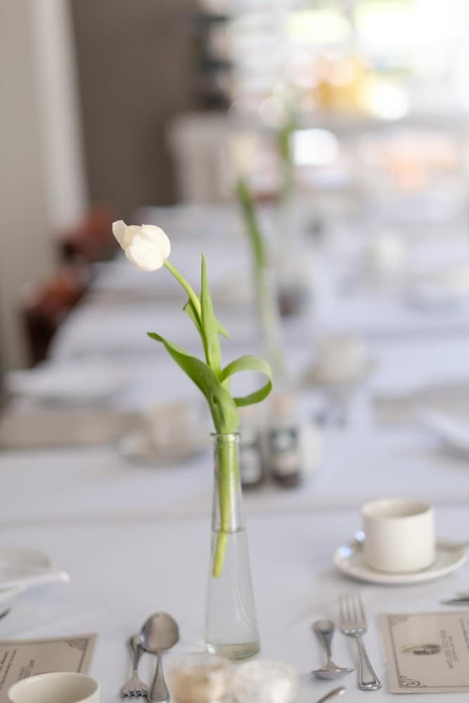 Фото White Lodge Constantia Guest House