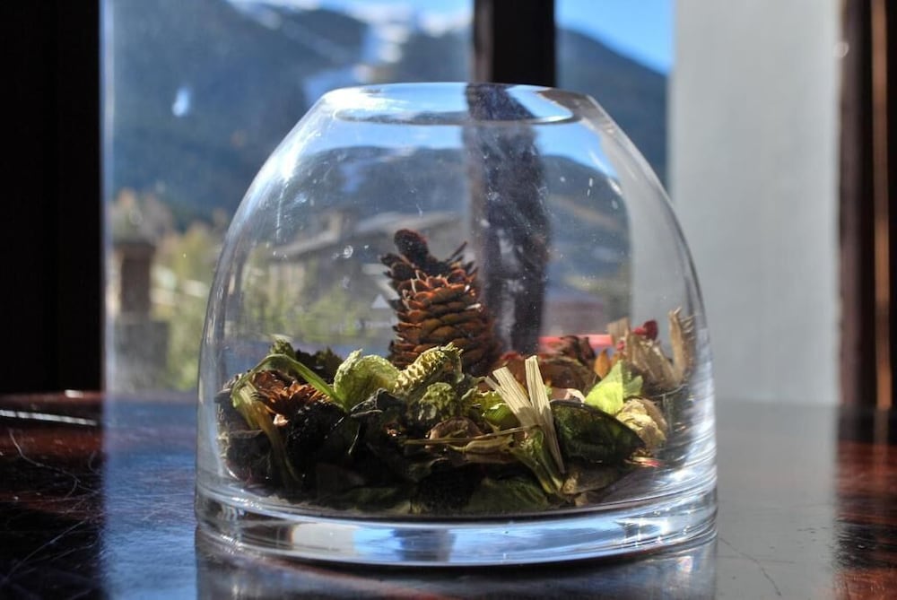 Фото Hotel Roc de St Miquel