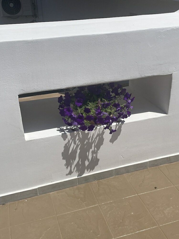 Фото Coralli Beach Hotel