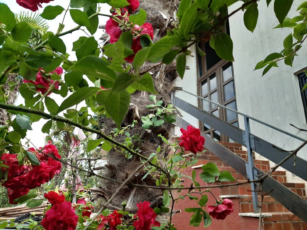 Фото Anamarija Apartments close to the beach