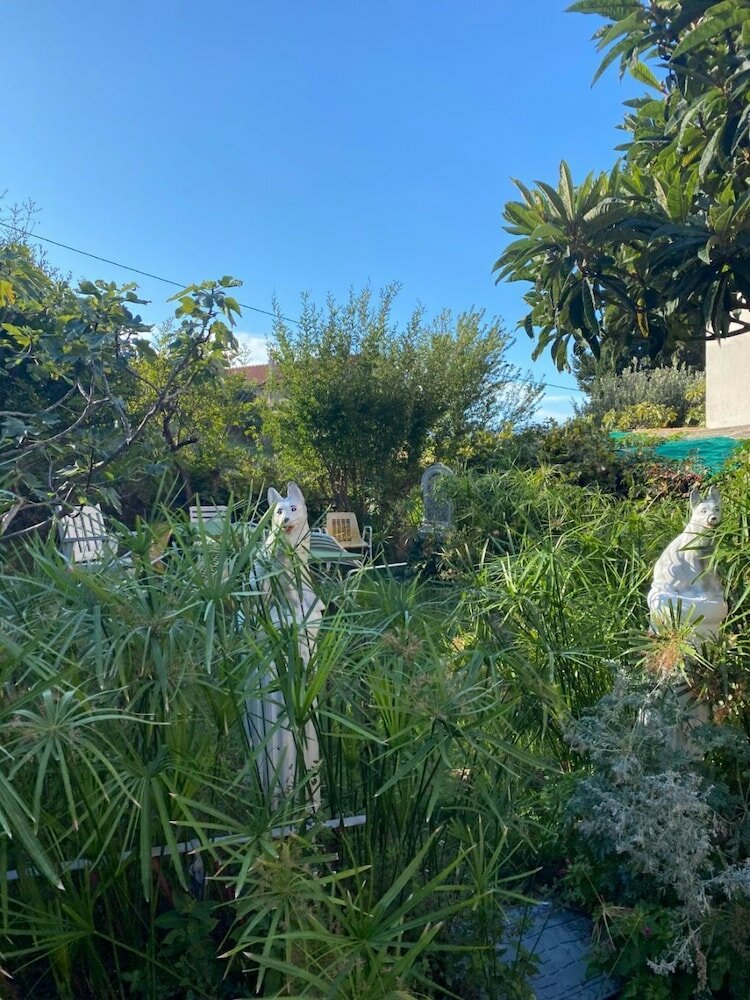 Фото Biljana - 150m From Beach - A3