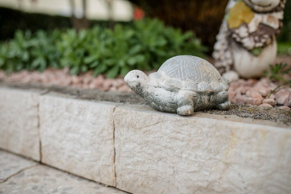 Фото Mar- 150 m From sea - A3