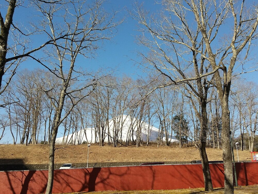 Фото Fuji Mihana Resort