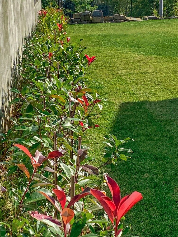 Фото Rainis Hill Top Villa