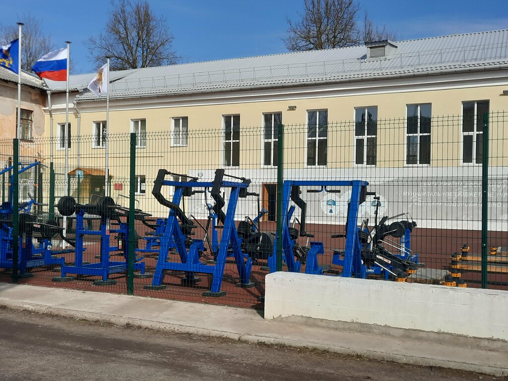 Sports club Detsky tsentr Yunost, Pskov, photo