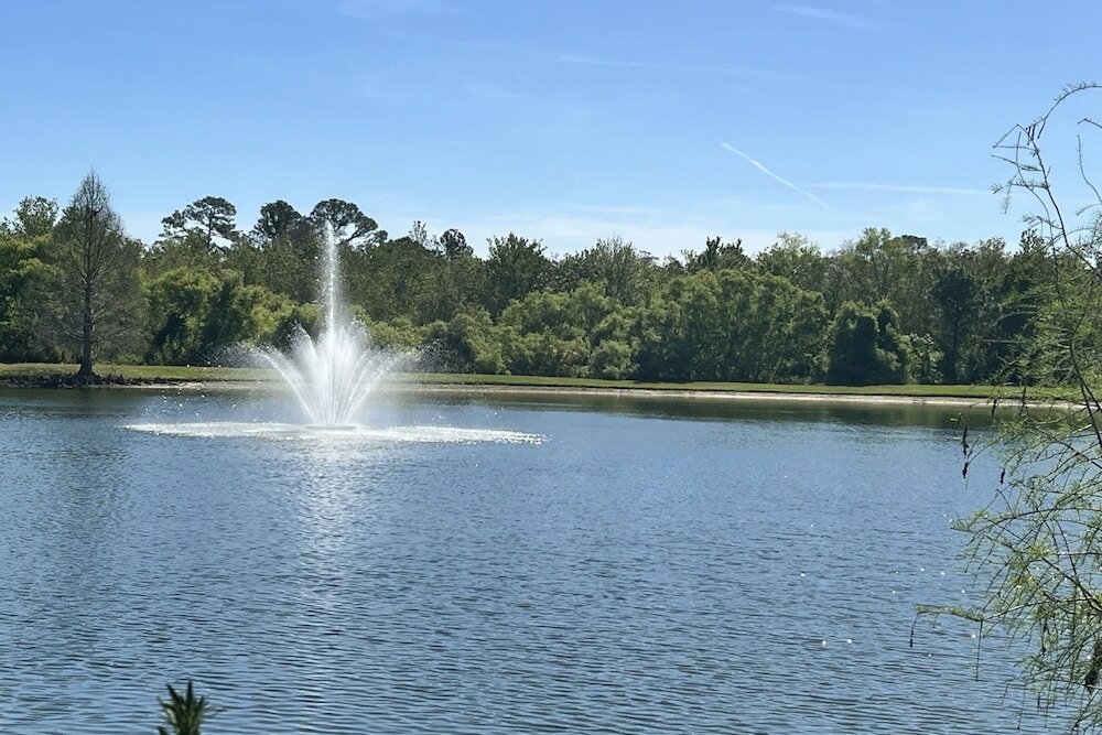 Фото Seven Dwarves by Prp