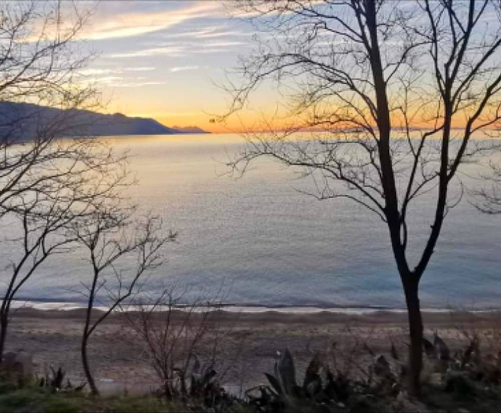 Фото Apartments Clementina Sunrise