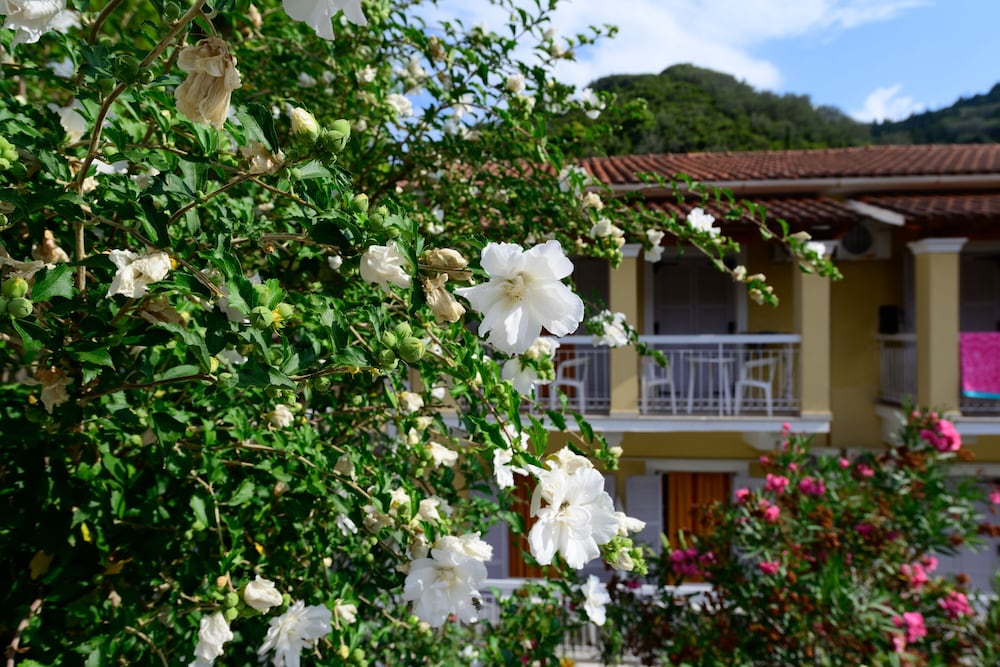 Фото Marina Apartments