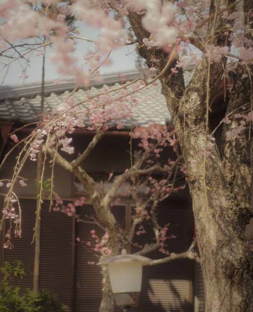 Фото Bishamon House