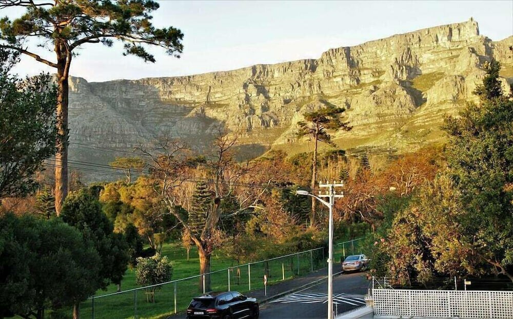 Фото Cactus House Gay Male Guesthouse - Adults Only