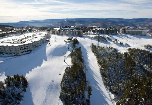 Гостиница Snowcrest
