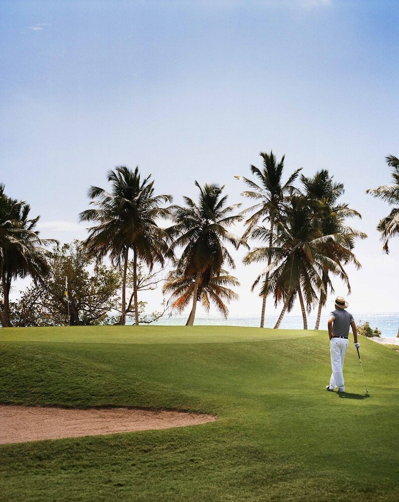 Фото The Westin Puntacana Resort & Club