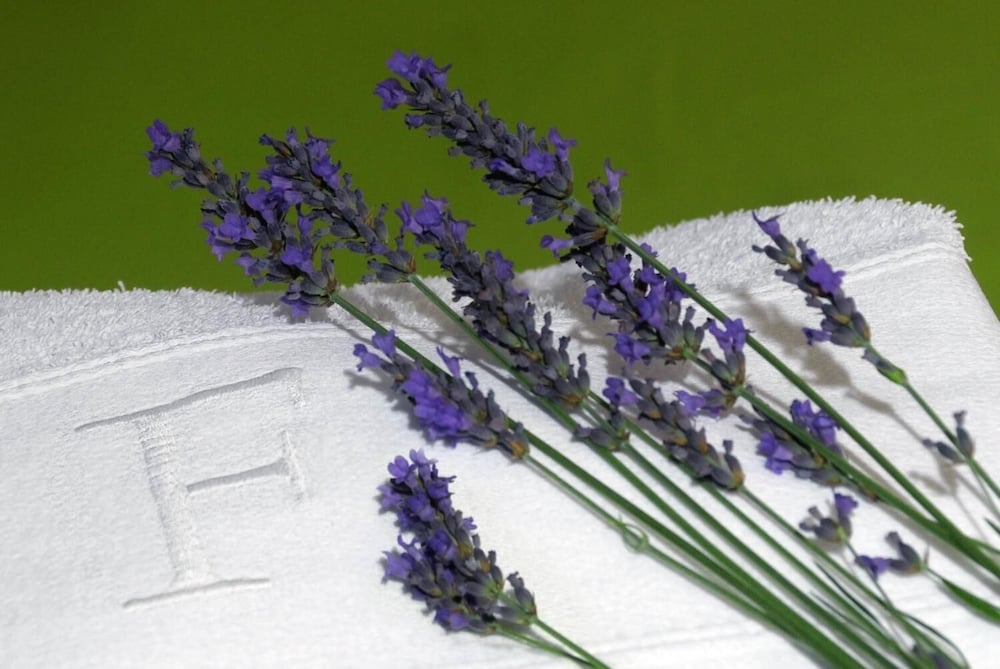 Фото Residencial Ferrinho