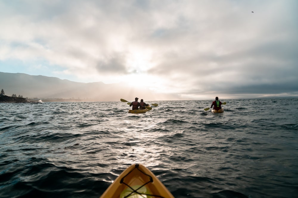 Фото Birkenhead House