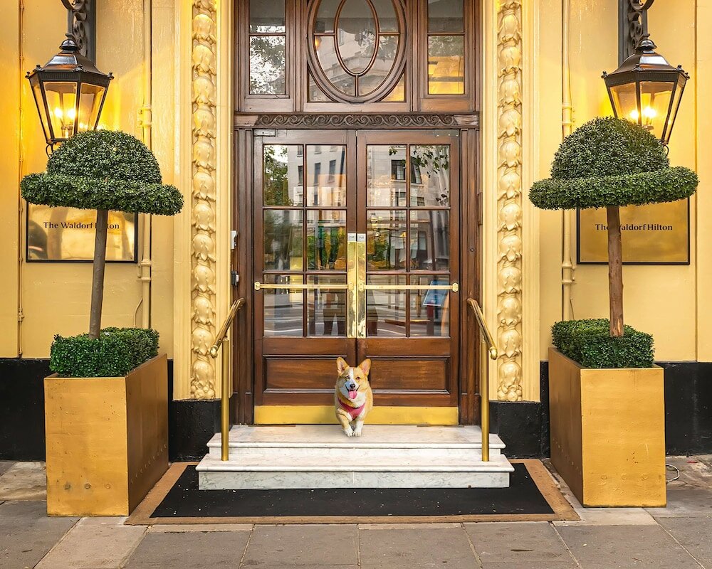 Фото The Waldorf Hilton, London
