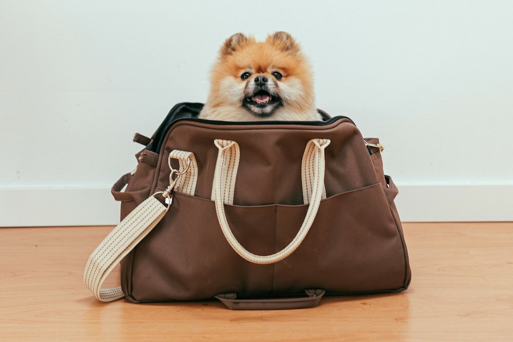 Фото Hilton Denver City Center