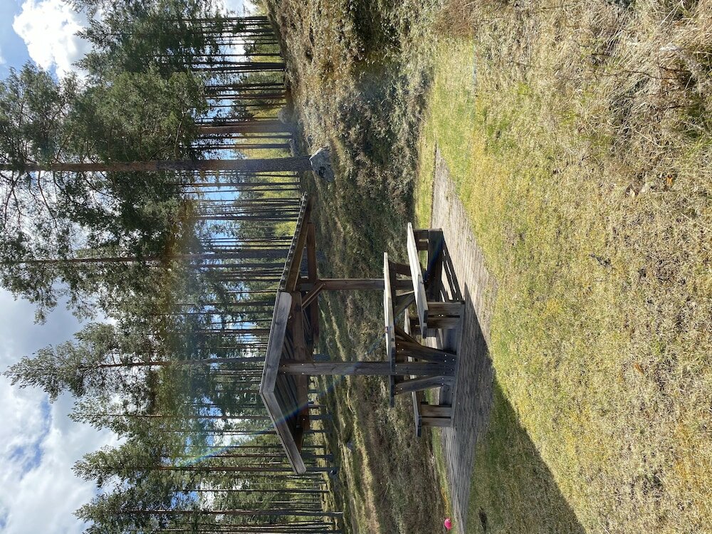 Фото Hotell Moskogen