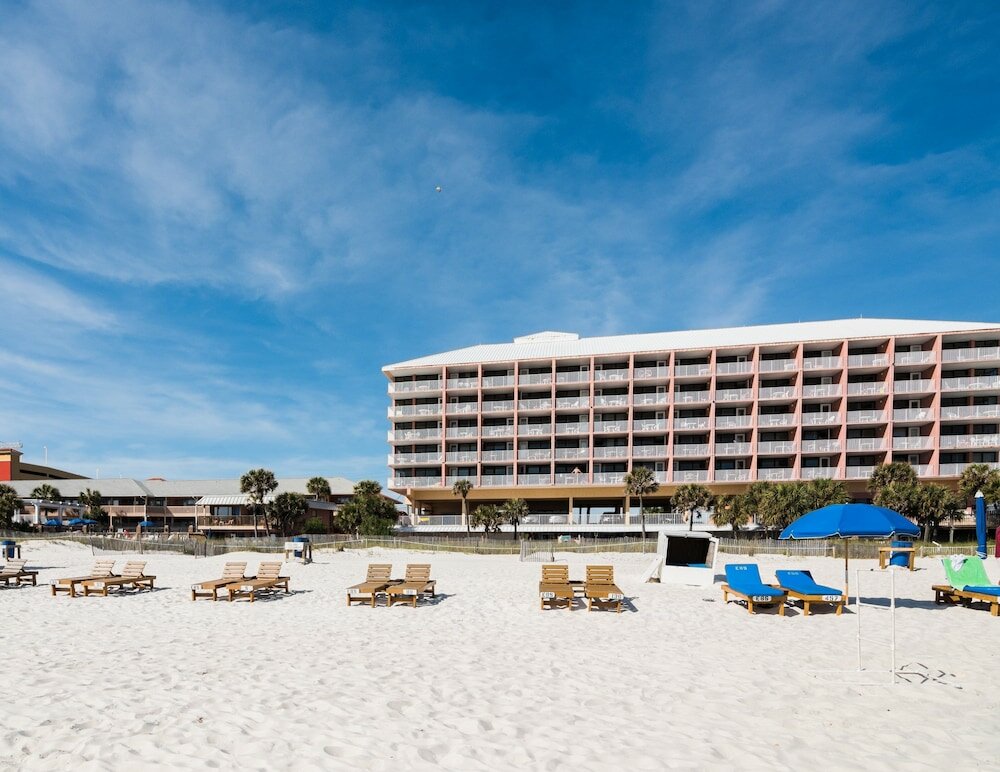 Фото Osprey on the Gulf
