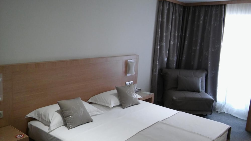 Фото Hotel le Rocher