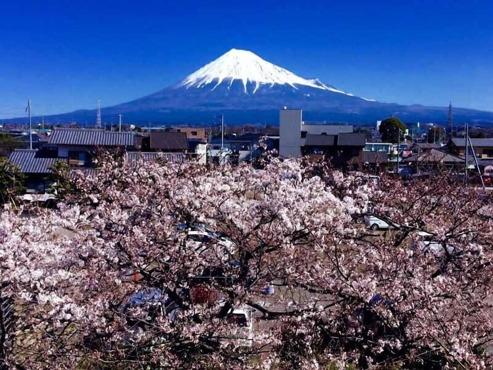 Фото Fuji Park Hotel