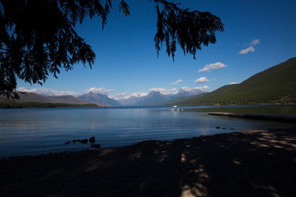 Фото Village Inn At Apgar - Inside the Park