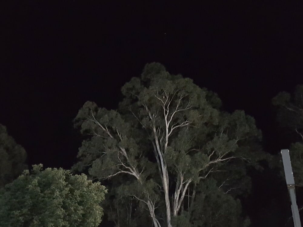 Фото Seymour Motel