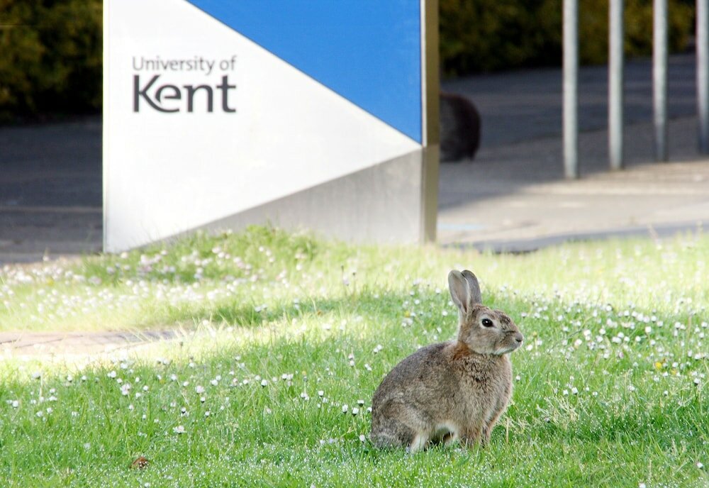 Фото Becket Court - University of Kent - Campus Accommodation