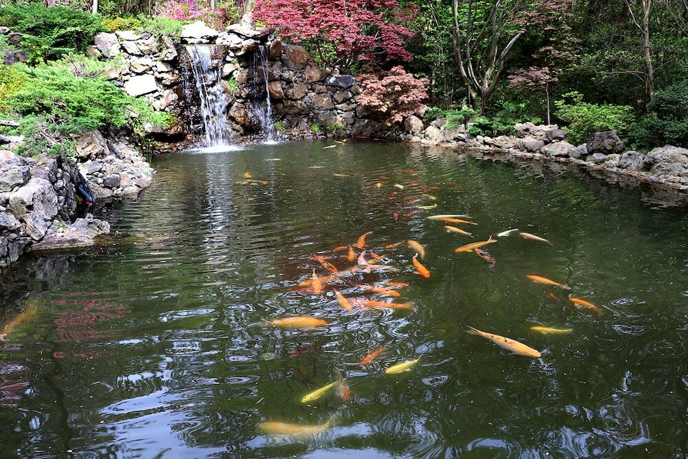 Фото We Hotel Jeju