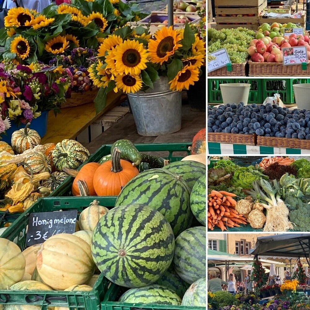 Фото City Hotel Freiburg