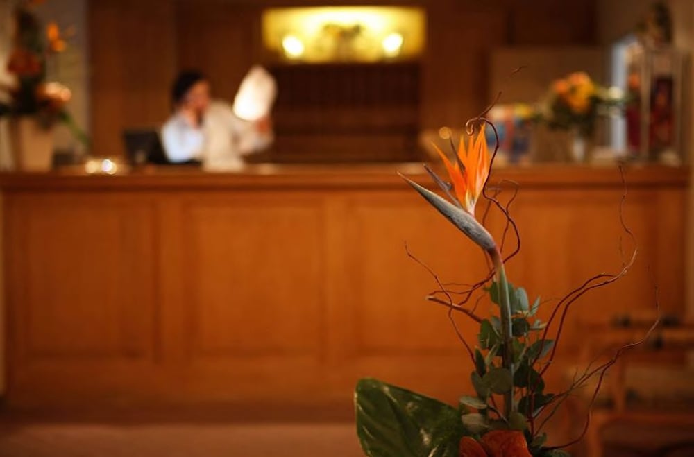 Фото Hotel Lessing