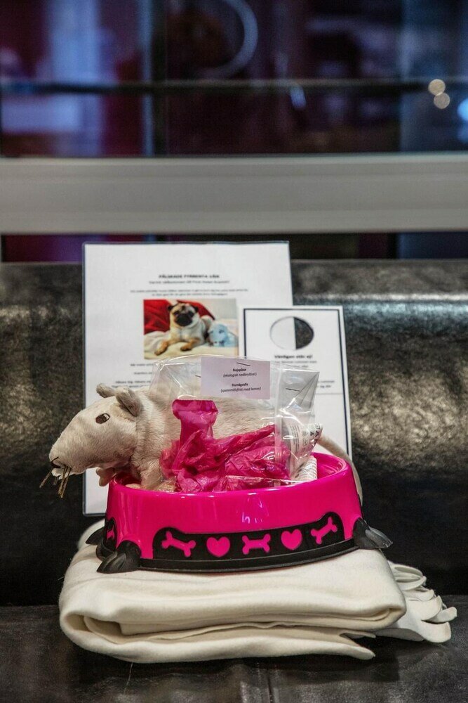 Фото Best Western Hotel Kramm