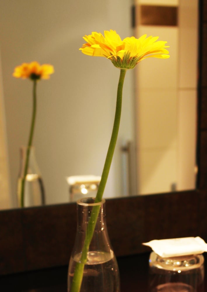 Фото Даниэль