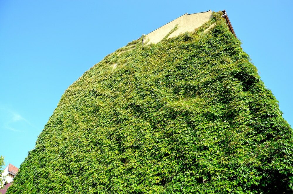 Фото Hotel Alt-Connewitz