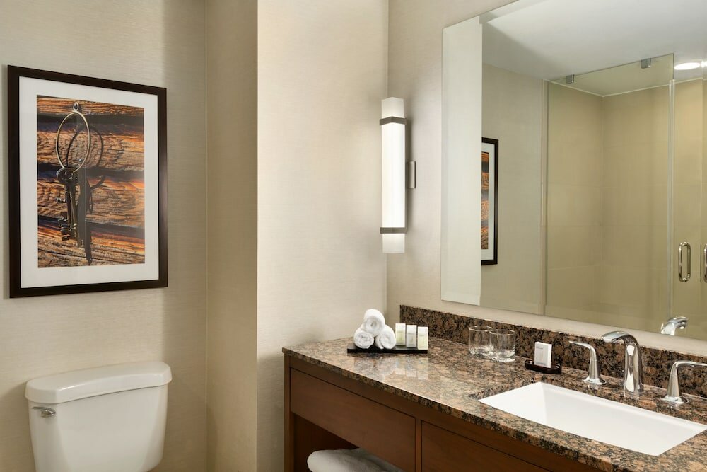 Фото Embassy Suites by Hilton Dallas Dfw Airport North