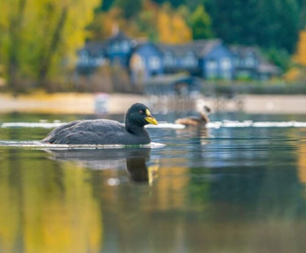 Фото Las Balsas Relais & Chateaux