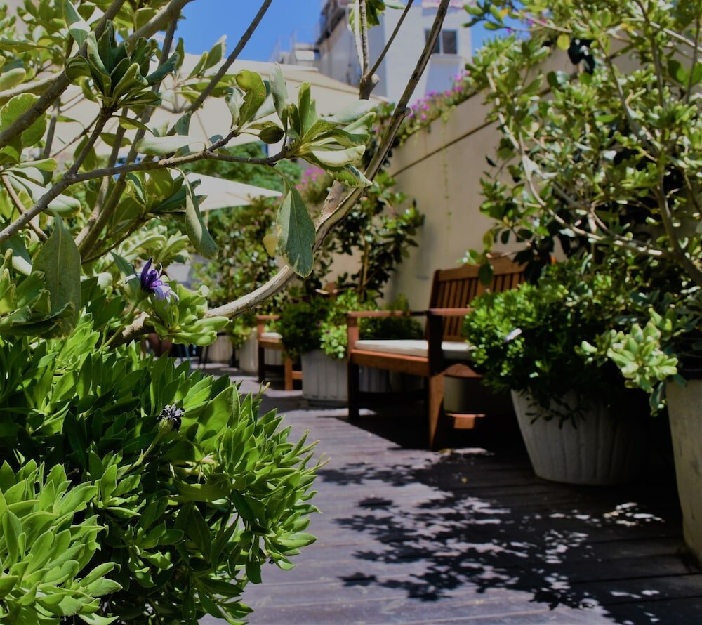 Фото Brown Seaside