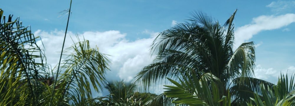 Фото Hostel Tropico 20 Pdc