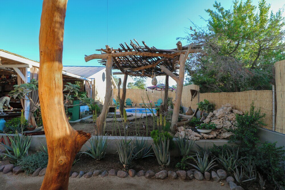 Фото The Desert House Bed and Breakfast