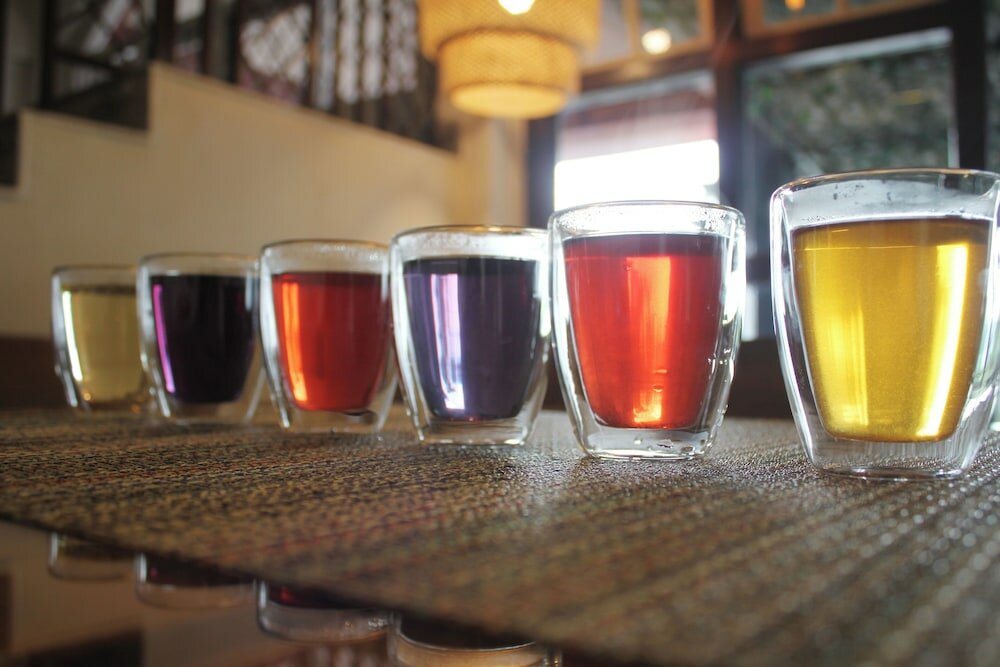 Фото The Living Roof