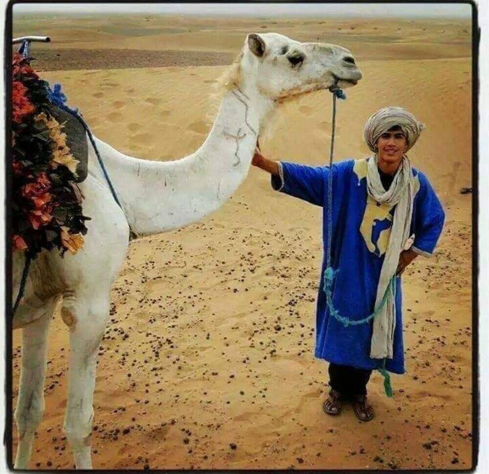 Фото Sultana Chigaga Camp