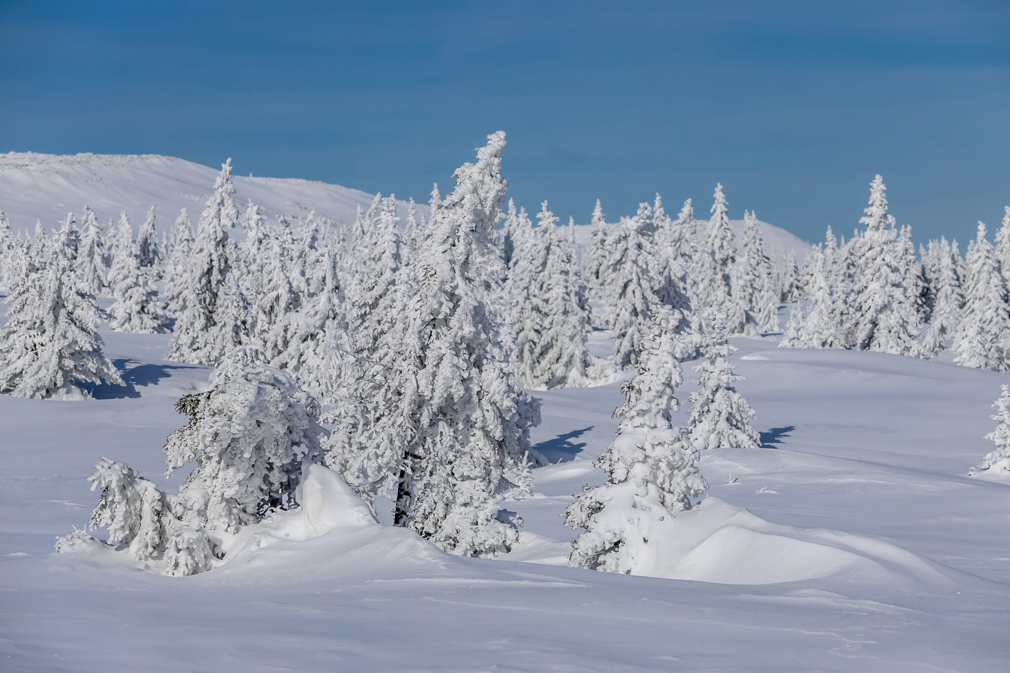 Фото Иремель Роза Ветров