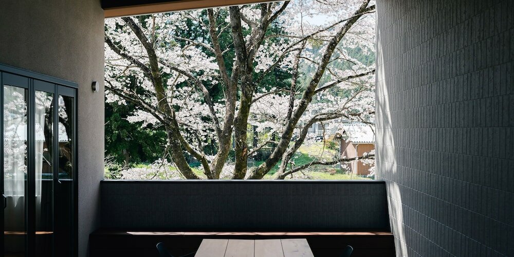 Фото Tef Tanıgumı