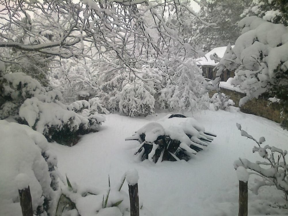 Фото Oban Historical Guest Farm