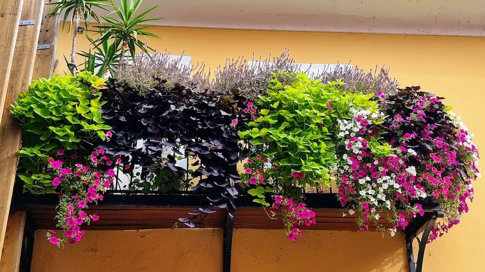 Фото Hotel Mitra