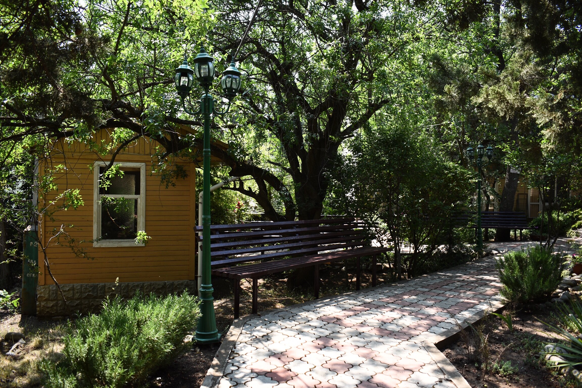 Фото Легенда