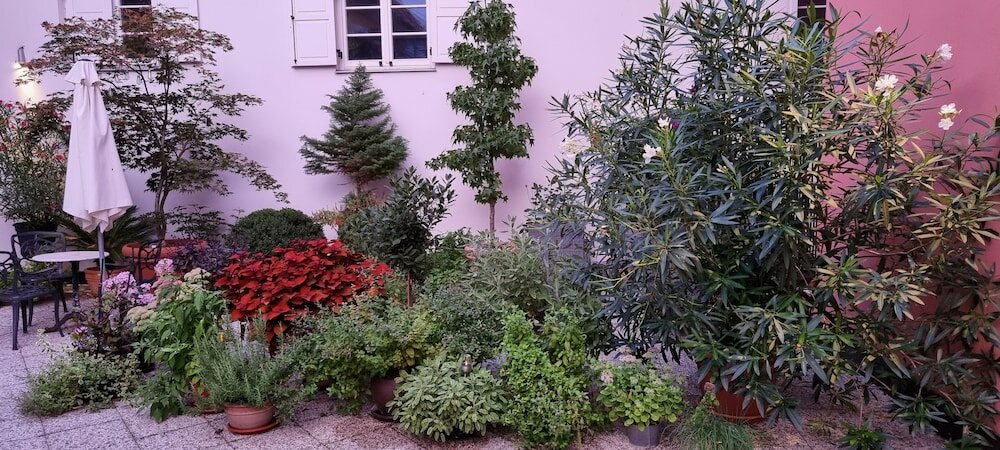 Фото Hotel Mitra