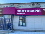 Mokryj nos (Poyarkova Street, 14) ، متجر للحيوانات الأليفة