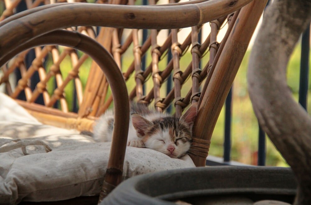 Фото 1 Bedroom Apartment on Beach Elias Upper